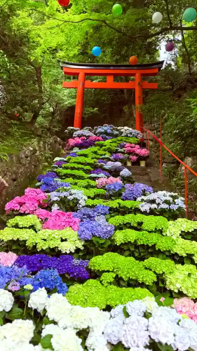 柳谷観音 楊谷寺(京都府)