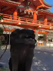 千葉神社(千葉県)