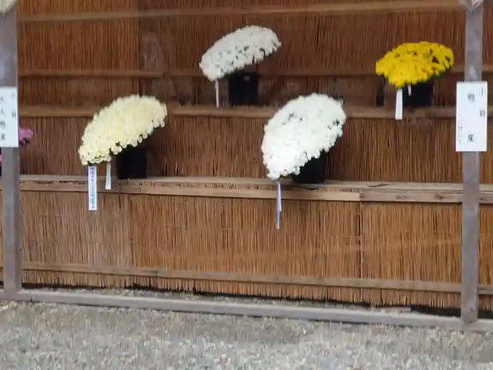 彌彦神社のその他建物