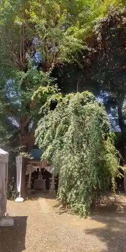 目黒富士浅間神社(東京都)