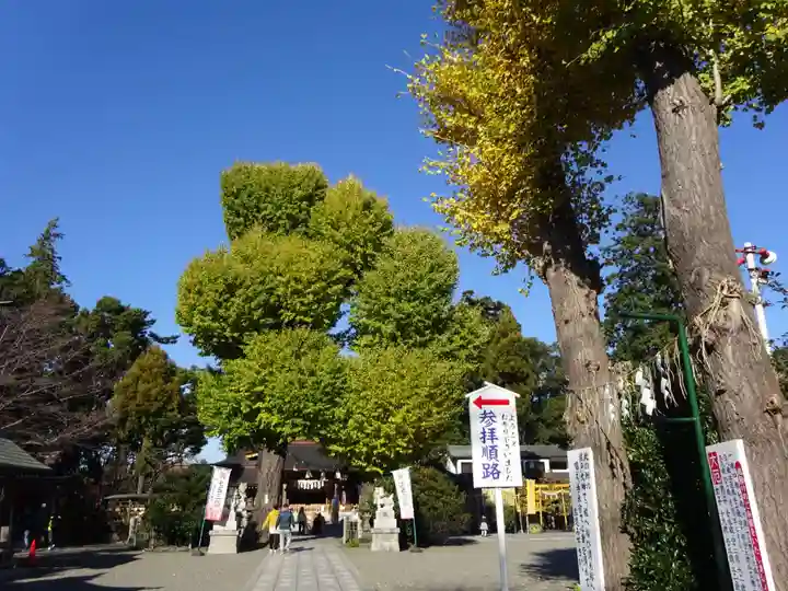 亀ケ池八幡宮の自然