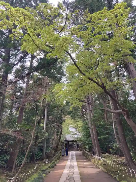 寿福寺(神奈川県)