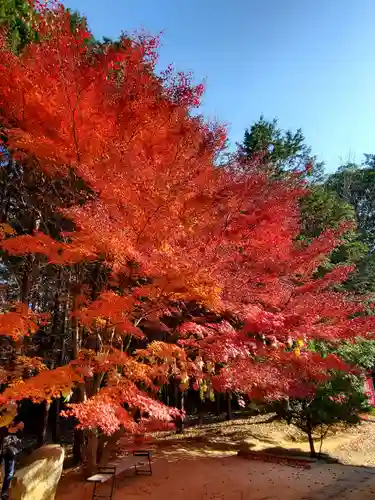 滑川神社 - 仕事と子どもの守り神の自然