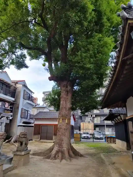 菅原神社(大阪府)