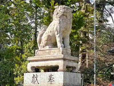 多賀大社の狛犬