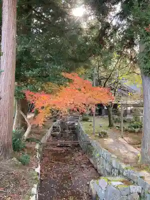 奥石神社(滋賀県)