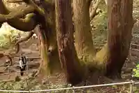祖母神社(熊本県)