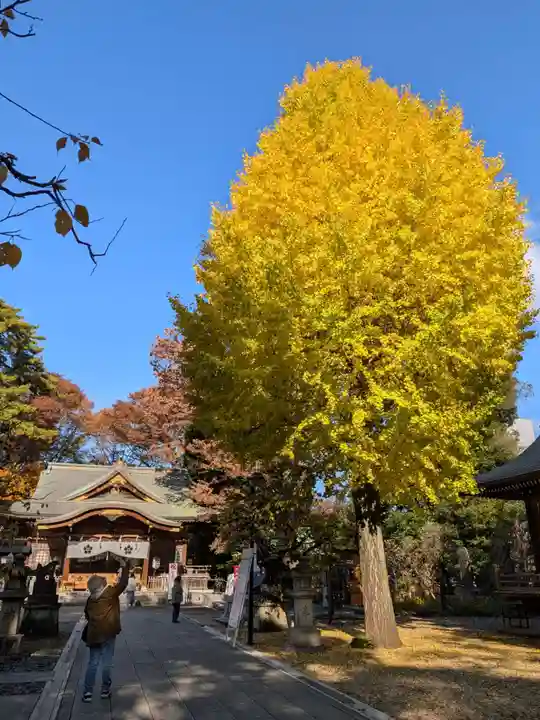 布多天神社(東京都)