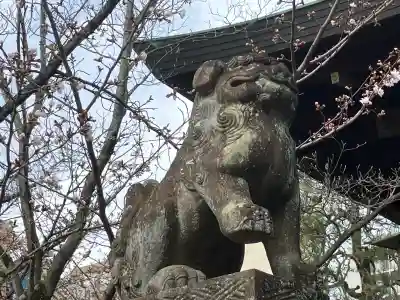 天孫神社(滋賀県)