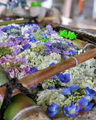立志神社(滋賀県)