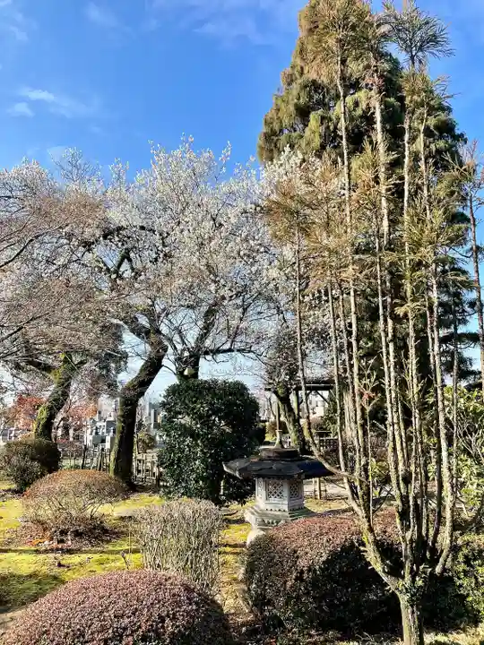 台林寺(栃木県)