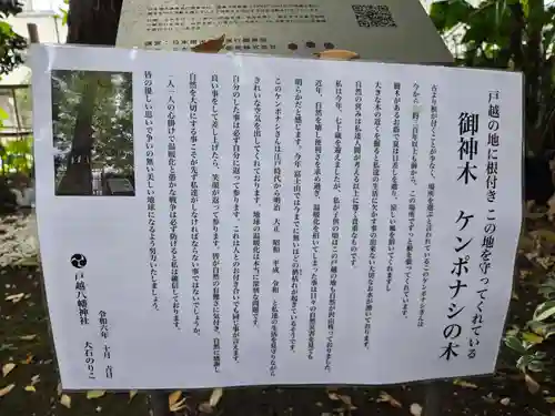 戸越八幡神社(東京都)