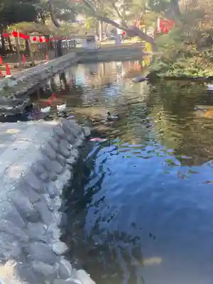 平塚八幡宮(神奈川県)