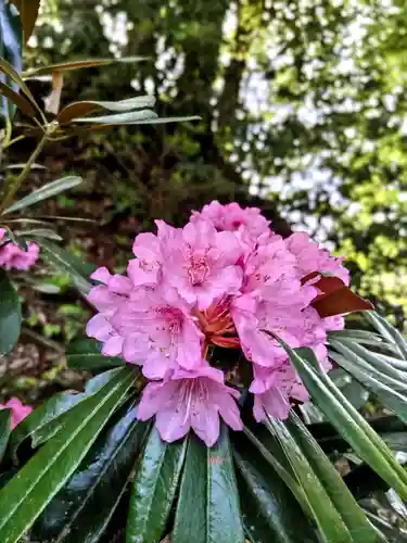 成相寺(京都府)