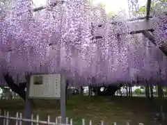 玉敷神社(埼玉県)