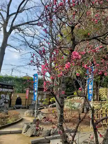 中野沼袋氷川神社の庭園