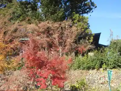 秩父札所１番　四萬部寺(埼玉県)