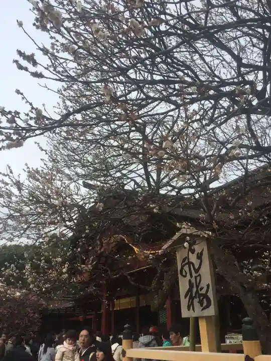 太宰府天満宮の自然