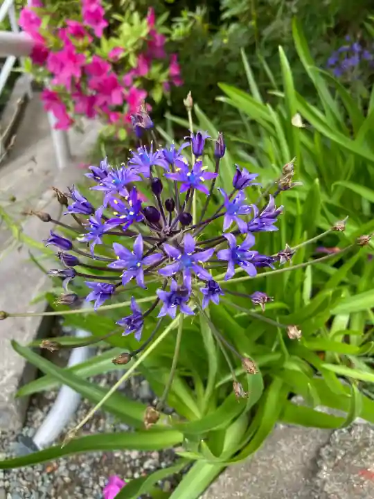 大船観音寺の{uncategorized: "未分類", other: "その他", undefined: "問題あり", building: "その他建物", grave: "お墓", sacred_gate: "鳥居", guardian: "狛犬", statue: "像", buddha: "仏像", history: "歴史", nature: "自然", garden: "庭園", animal: "動物", pagoda: "塔", temizu: "手水舎", mountain_gate: "山門・神門", sanctuary: "本殿・本堂", subordinate: "末社・摂社", art: "芸術", scenery: "景色", jizo: "地蔵", ema: "絵馬", goshuin: "御朱印", omikuji: "おみくじ", items: "授与品その他", amulet: "お守り", goshuincho: "御朱印帳", eats: "食事", festival: "お祭り", votive_dance: "神楽", shichigosan: "七五三参", wedding: "結婚式", experience: "体験その他", initially: "初詣", around: "周辺", anti_infection: "感染症対策"}