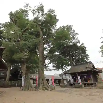 八枝神社のその他建物