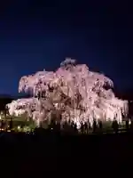 瀧桜神明宮(福島県)