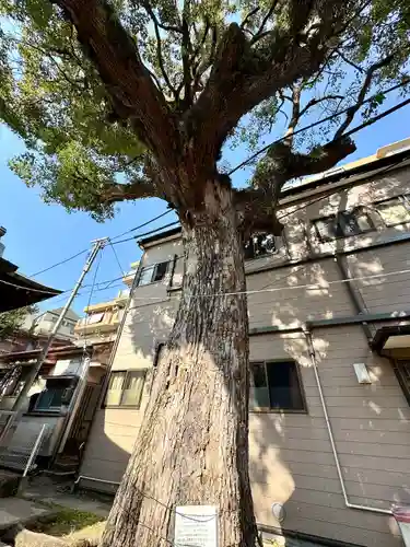 子神社(神奈川県)