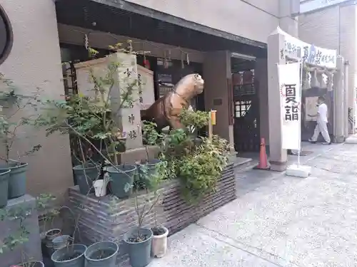 少彦名神社の狛犬