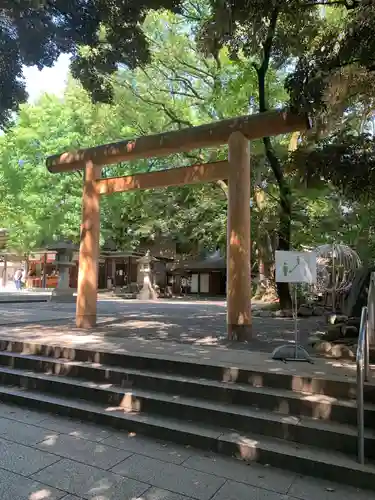 乃木神社の鳥居