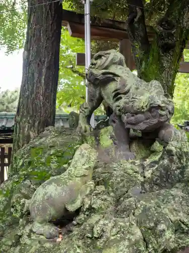 牛嶋神社の狛犬