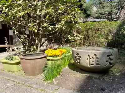 天性寺の手水舎