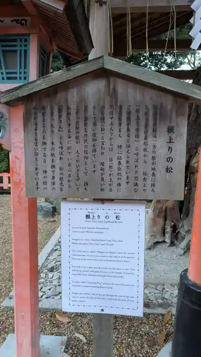 伏見稲荷大社(京都府)