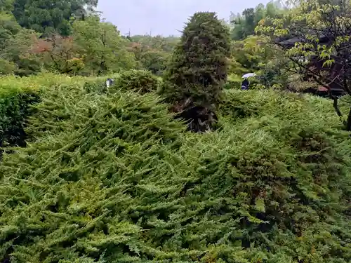 勧修寺(京都府)