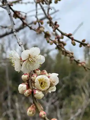 大覚寺(京都府)