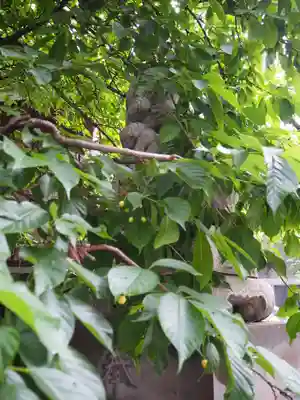 元三島神社(東京都)