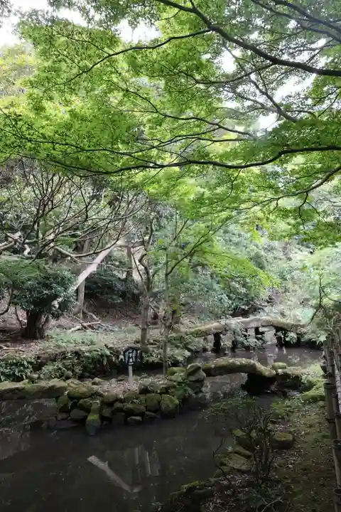 日本寺(千葉県)