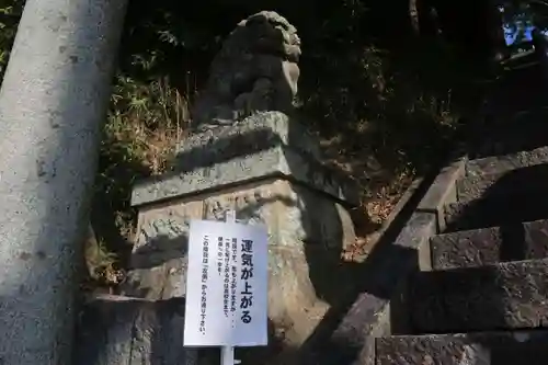 阿久津「田村神社」（郡山市阿久津町）旧社名：伊豆箱根三嶋三社の狛犬