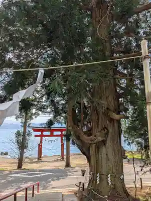御座石神社(秋田県)