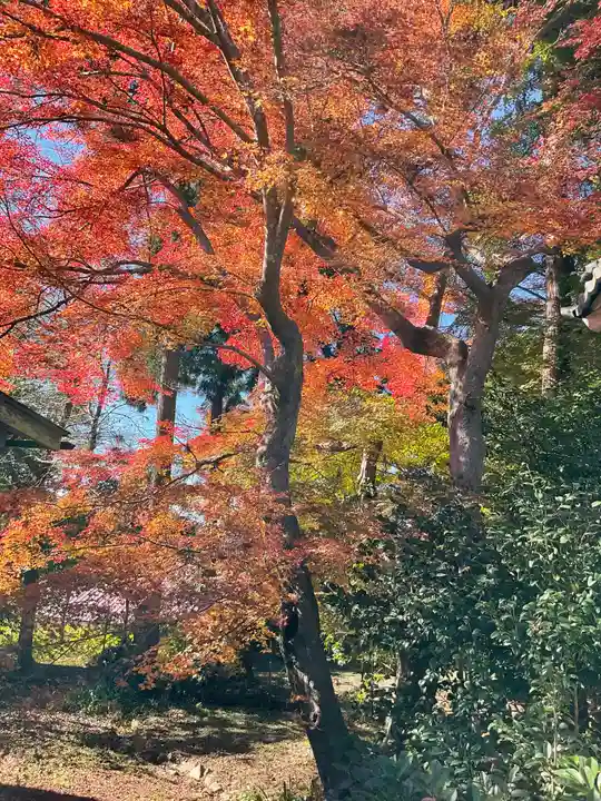 吸湖山 青岸寺の自然