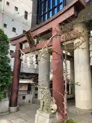 築土神社の鳥居