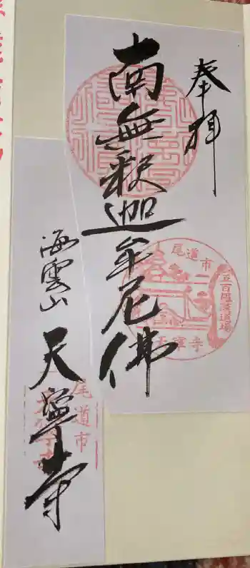天寧寺の御朱印 2012年07月