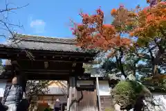 勝持寺（花の寺）(京都府)