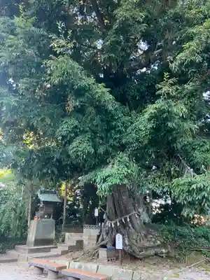 揖夜神社(島根県)