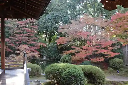 隨心院（随心院）の庭園