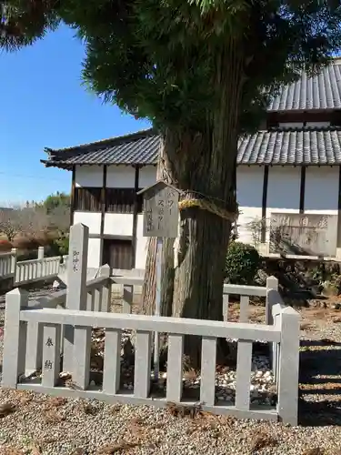 村國神社(岐阜県)