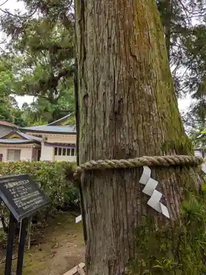 大縣神社(愛知県)