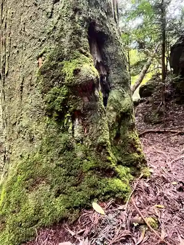 室生寺奥の院(奈良県)