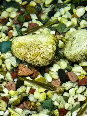 萬福寺(京都府)