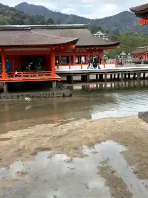 厳島神社の{uncategorized: "未分類", other: "その他", undefined: "問題あり", building: "その他建物", grave: "お墓", sacred_gate: "鳥居", guardian: "狛犬", statue: "像", buddha: "仏像", history: "歴史", nature: "自然", garden: "庭園", animal: "動物", pagoda: "塔", temizu: "手水舎", mountain_gate: "山門・神門", sanctuary: "本殿・本堂", subordinate: "末社・摂社", art: "芸術", scenery: "景色", jizo: "地蔵", ema: "絵馬", goshuin: "御朱印", omikuji: "おみくじ", items: "授与品その他", amulet: "お守り", goshuincho: "御朱印帳", eats: "食事", festival: "お祭り", votive_dance: "神楽", shichigosan: "七五三参", wedding: "結婚式", experience: "体験その他", initially: "初詣", around: "周辺", anti_infection: "感染症対策"}