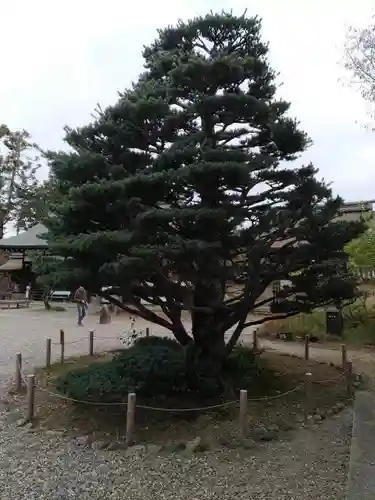 梅宮大社のその他建物