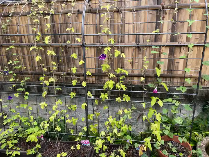 伊勢の国 四天王寺の庭園